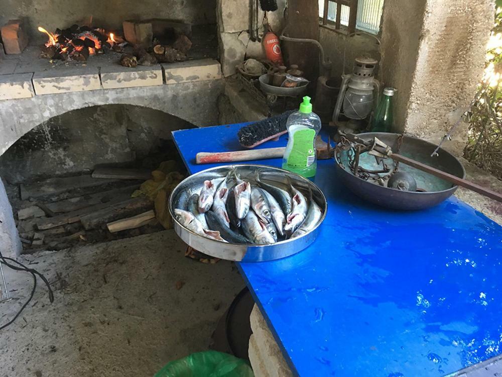 شقة G.Bakovic يزيرا المظهر الخارجي الصورة